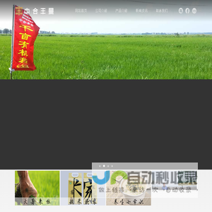 黑龙江中合丰景农业科技发展有限公司