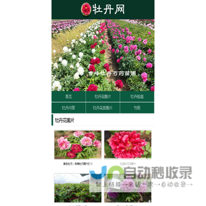 牡丹网 - 牡丹花图片、视频分享网站！