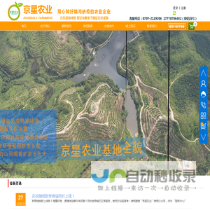 京星农业-优质赣南脐橙