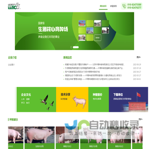首页 北京养猪育种中心