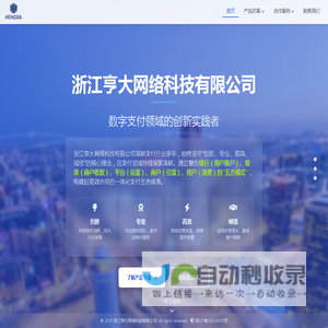 浙江亨大网络科技有限公司 - 数字支付领域的创新实践者