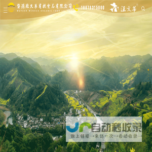 婺源县文华有机食品有限公司 - 汪文华牌婺晓皇菊,婺晓牌婺源绿茶,婺源皇菊，金丝皇菊，晓起皇菊，皇菊品牌哪家好