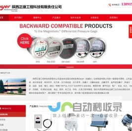 dwyer,dwyer总代理,mercoid,flotect代理