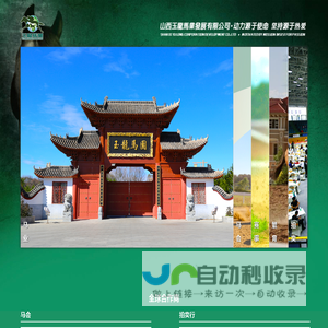 玉龙马会 玉龙马会