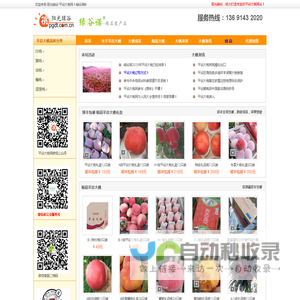 阳光绿谷-平谷大桃