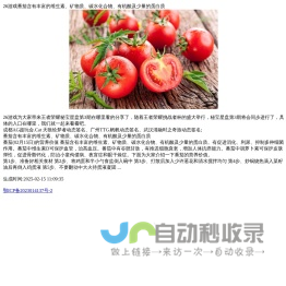 番茄含有丰富的维生素、矿物质、碳水化合物、有机酸及少量的蛋白质-26游戏