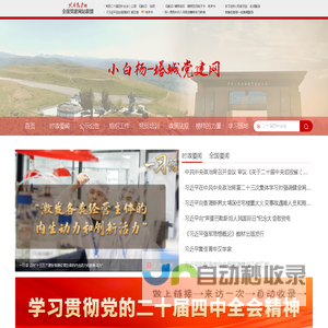 小白杨-塔城党建网