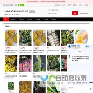 柿子_姜_猪_叶菜类 - 【山东省莒县瓜果蔬菜基地批发市场】