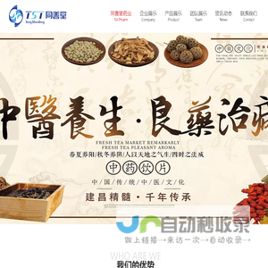 江西同善堂药业集团