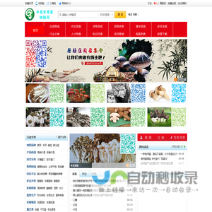 中国食用菌物联网_菌类栽培生产_菌类保存指导_中国食用菌物联网平台