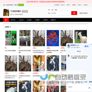 其他特种养殖动物 - 【广东黑豚养殖场】