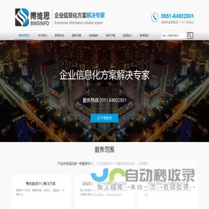 合肥博维思信息技术有限公司