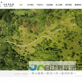 原生态王氏小乔私家茶庄园，原生态环境，原生态种植，传统古法加工，所产茶叶品质优良，实乃茶中珍品。