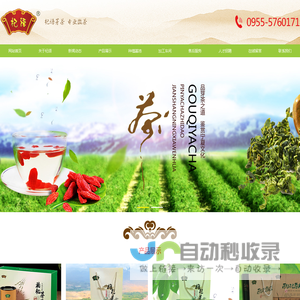 宁夏中宁枸杞芽茶_中宁枸杞芽尖茶_中宁枸杞厂家直销_中宁县寿宝工贸有限责任公司