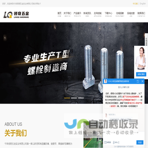 宁波螺栓,T型螺栓,高强度螺栓,不锈钢螺栓,预埋槽道螺栓厂家,宁波领奇五金实业有限公司