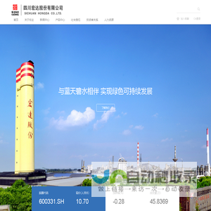 四川宏达股份有限公司