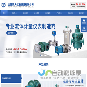 合肥精大仪表股份有限公司