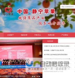 静宁苹果 - 静宁苹果