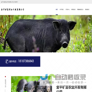 金平矿富农业开发有限公司