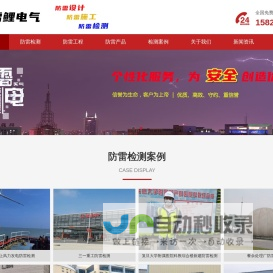 上海雷鲤电气有限公司