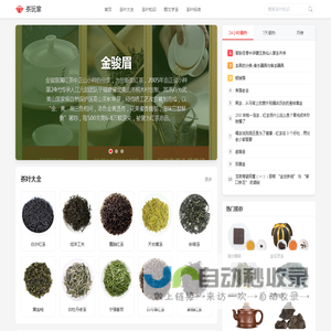 茶玩家 - 专业茶叶知识平台