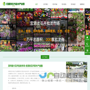 深圳花卉_深圳花卉批发_花卉批发市场