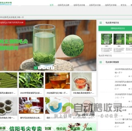 信阳毛尖价格-毛尖品牌排名-信阳毛尖茶叶网「半买半送」