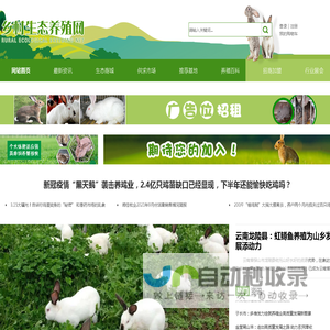 乡村生态养殖网