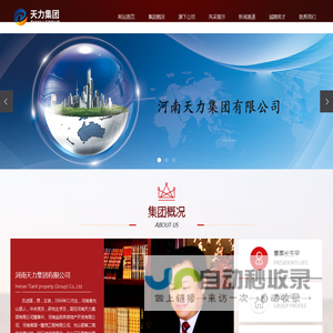 河南天力集团有限公司