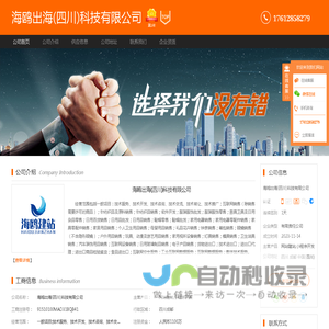 网站建站_小程序开发-海鸥出海(四川)科技有限公司