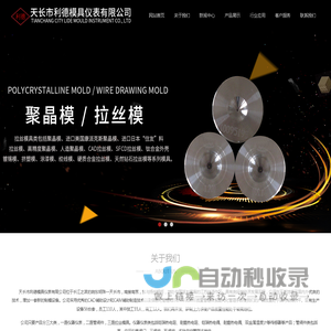 天长市利德模具仪表有限公司