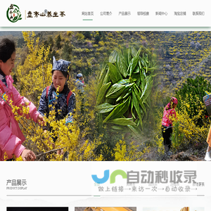 山西连翘茶|河南小白蒿价格|河北连翘茶种植基地-山西盘秀山农业科技开发有限公司