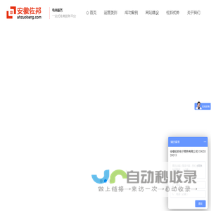 淘宝代运营_天猫代运营_芜湖阿里巴巴代运营公司-安徽佐邦电子商务