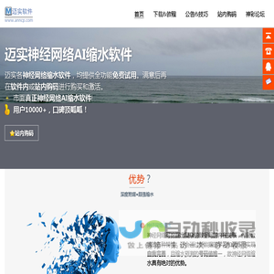 神经网络缩水软件,svm支持向量机缩水软件,迈实AI缩水,迈实神彩