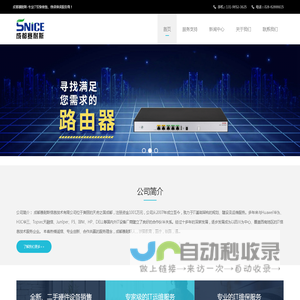 交换机_路由器_防火墙_IT设备维保_IT运维服务_网络设备维保服务-成都赛耐斯