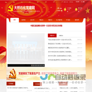 大桥石化党建网站