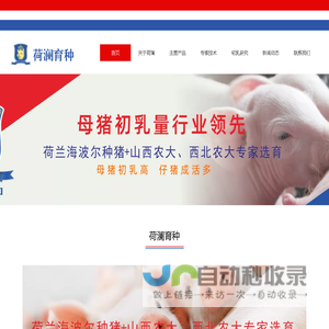 山西荷澜育种_山西种猪选育_山西种猪销售_山西吕梁纯种母猪_荷兰海波尔种猪