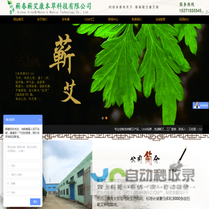 蕲春蕲艾康本草科技有限公司/蕲春蕲艾康/蕲艾康/蕲春珍本康/珍本康