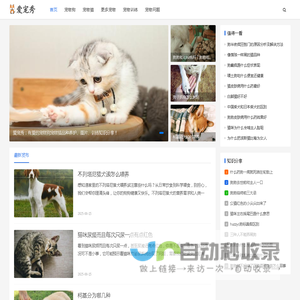 有爱的宠物狗宠物猫品种养护、图片、训练知识分享-爱宠秀