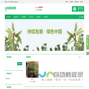 山东桂花树-山东桂花树