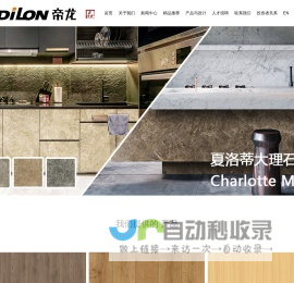 浙江帝龙新材料有限公司