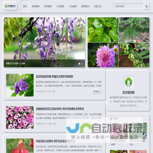 溪灵植物网-植物科普及养花知识专业门户网站
