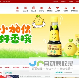 加加食品集团股份有限公司,酱油,食品公司,加加食品,调味食品,粮油食品