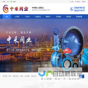 中采阀业（天津）有限公司