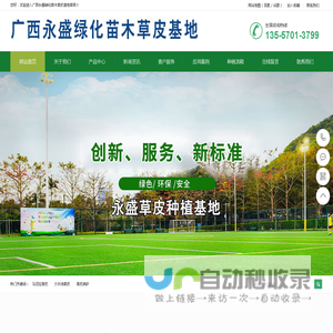 广西永盛绿化苗木草皮基地广西草皮_南宁草皮批发_广西草皮批发