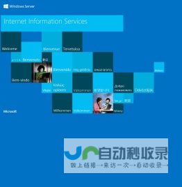 苏州艾力西无刷电机有限公司