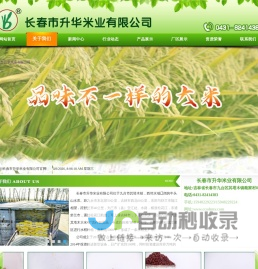 吉林东北大米,东北稻花香,其塔木大米,长春市升华米业有限公司