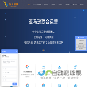 杭州亚马逊amazon跨境电商代运营_亚马逊联合运营开店_杭州淘贝跨境