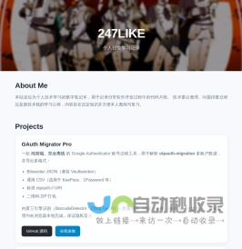 247LIKE · Developer Portfolio