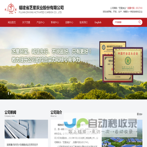 木质粉状活性炭|煤质颗粒活性炭|果壳颗粒活性炭|民用活性炭,特殊品种活性炭定制--福建省芝星炭业股份有限公司